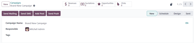 View of the campaign form in Axsys Email Marketing.