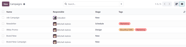 View of the campaign page in list view in Axsys Email Marketing.