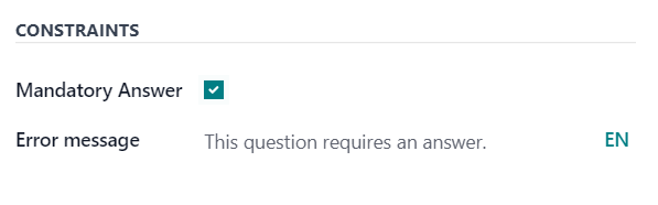 The Constraints section in the options tab in Axsys Surveys.