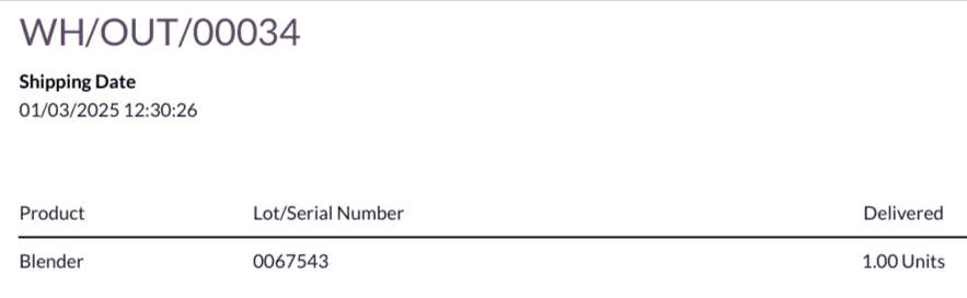The order lines section of a delivery slip, showing a product and its serial number.