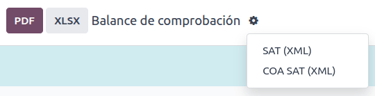 Trial balance report.