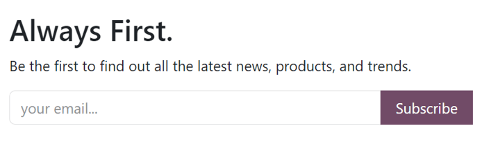 Sample of how a newsletter block appears on an Axsys Website.