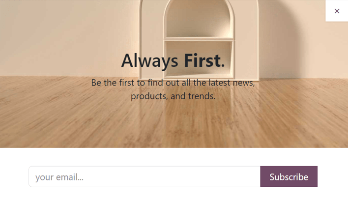 Sample of how a newsletter popup block appears on an Axsys Website.